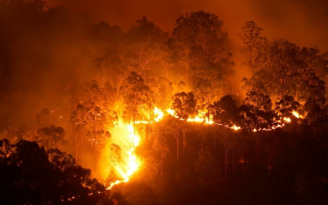 AHRESP manifesta o seu apoio às vítimas dos incêndios