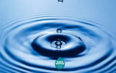 ALGARVE | Selo de Eficiência Hídrica “Save Water”​