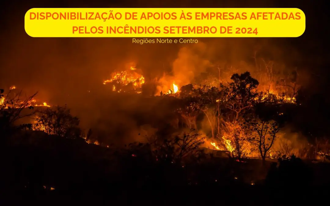 Regiões Norte e Centro | Disponibilização de Apoios às Empresas Afetadas pelos Incêndios Setembro de 2024